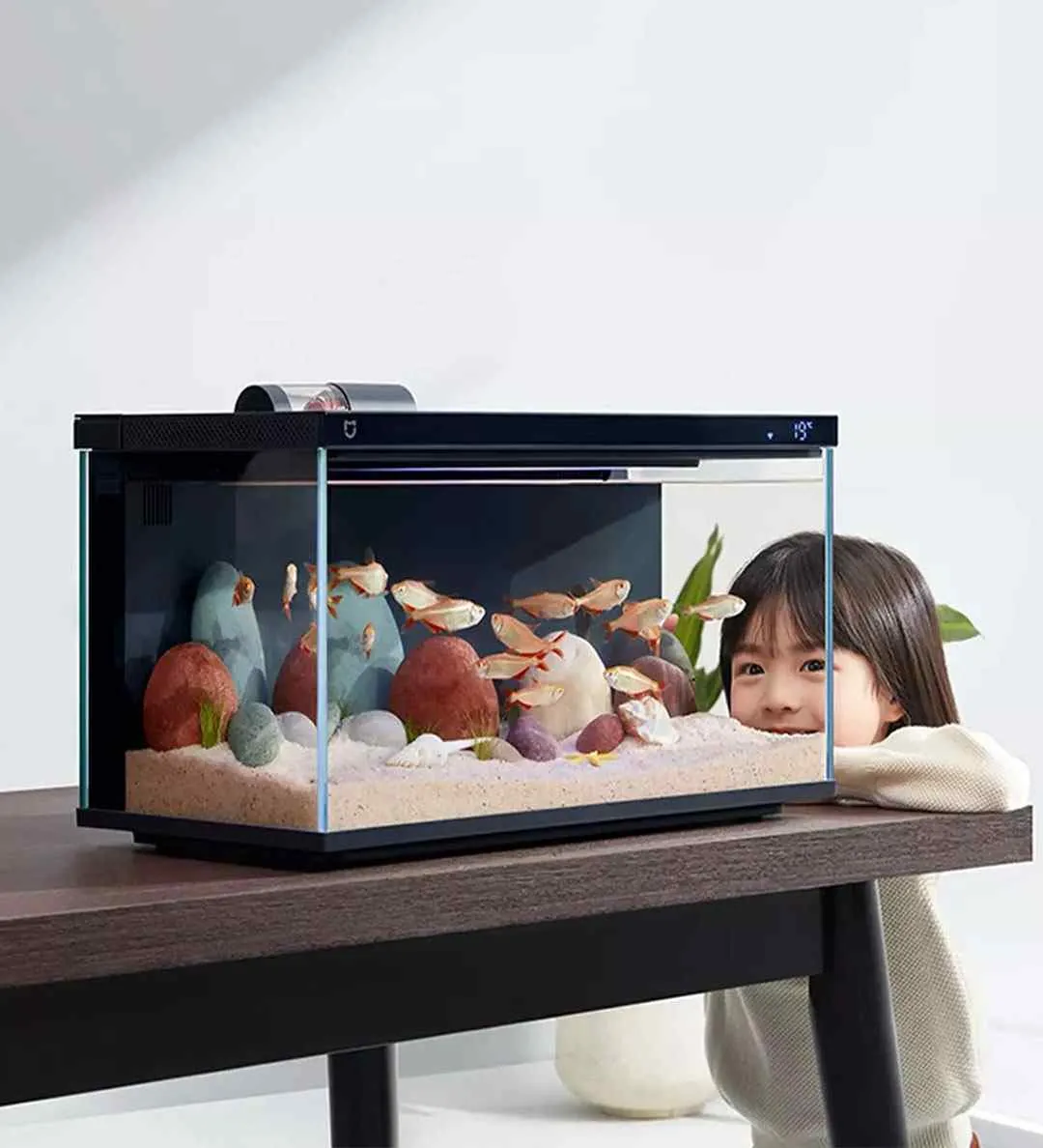 Fully automated aquarium hotsell